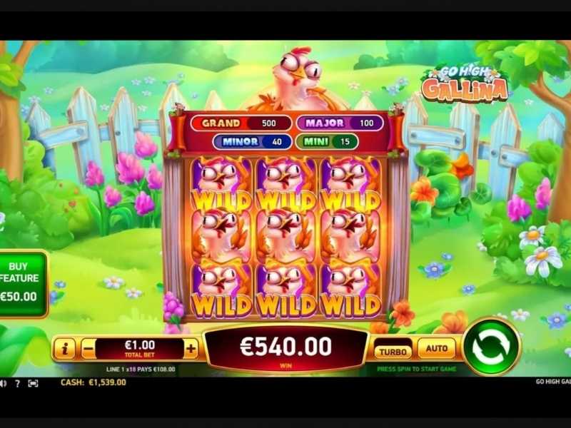 Bonus nel gioco Go High Gallina