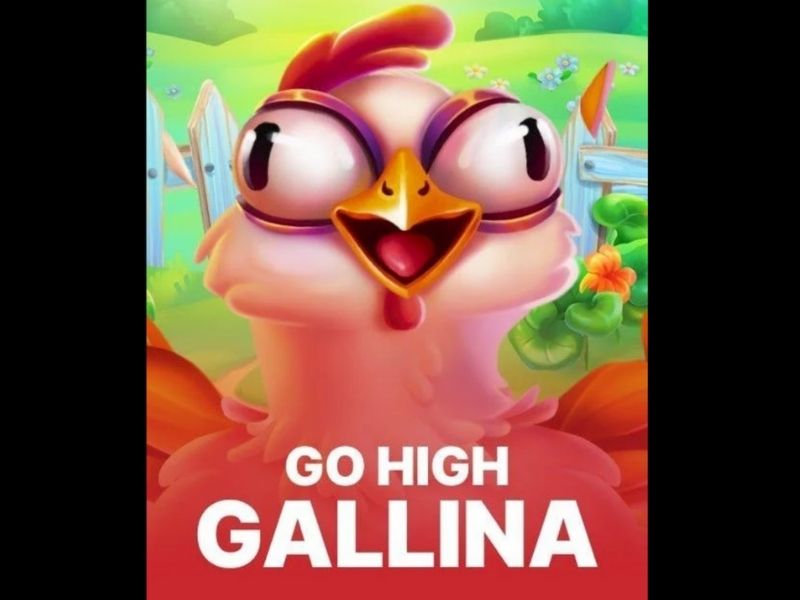 Conclusione del gioco Go High Gallina