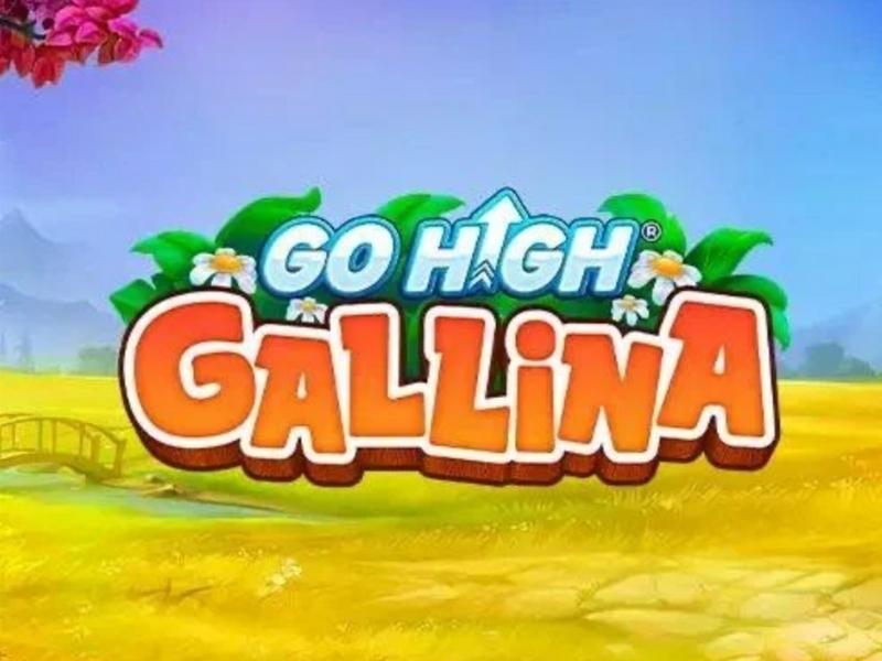 Go High Gallina