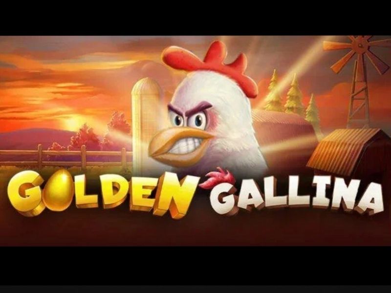 Golden Gallina